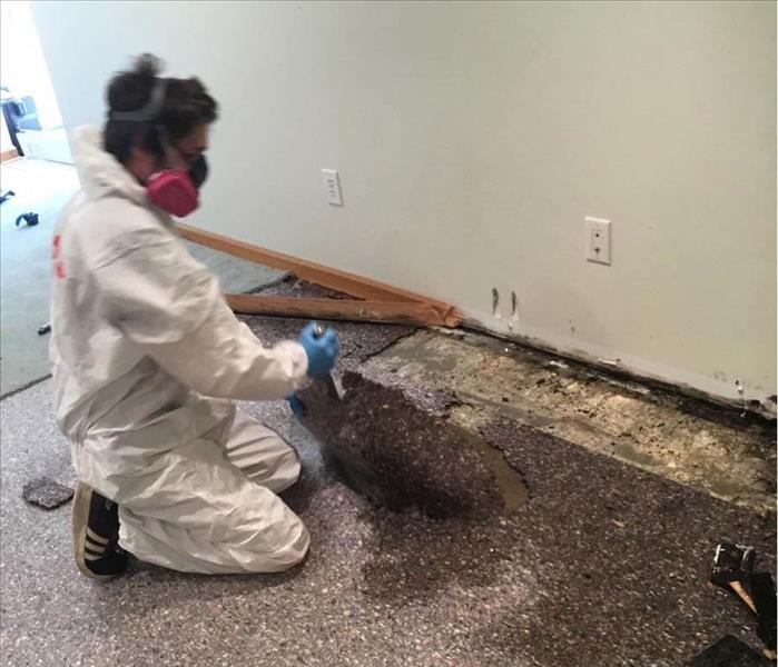 Employee in PPE cleaning up mold damage.
